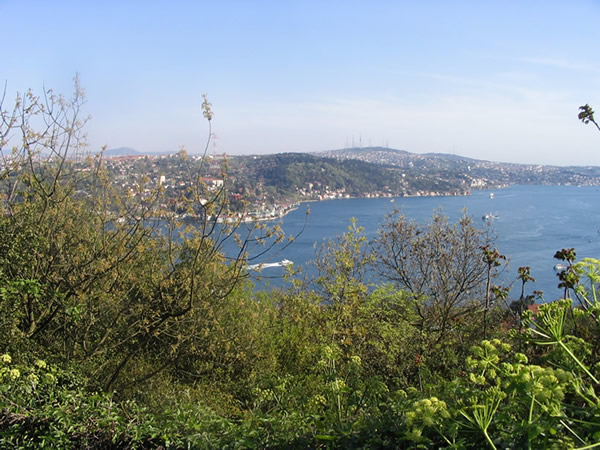 Spring in Istanbul
