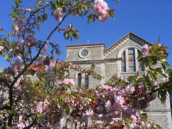 Albert Long Hall in Spring