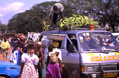 Unloading plantain in market