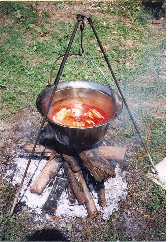 Paprika Turkey in "Bogracs"