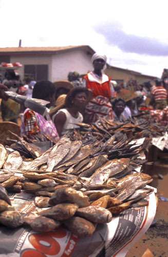 Fried fish in market
