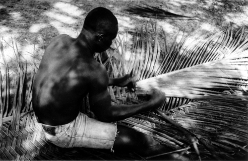 weaving plantain leaves..