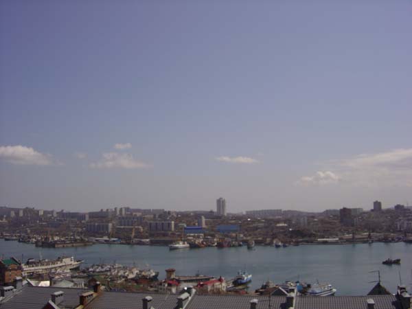 Vlad Harbour