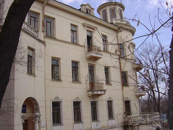 Pushkin Street #3