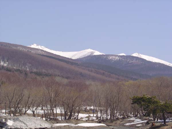 Gagarin Park in Spring
