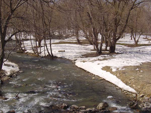 River at Gagarin Park