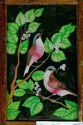 Birds