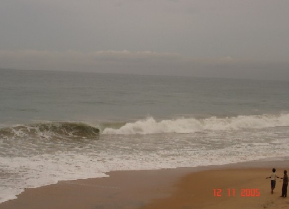 tsunami came here