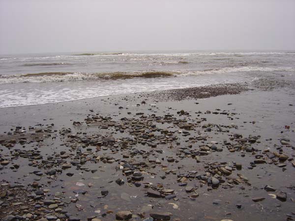 Aniva Bay
