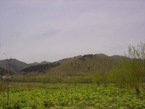 Spring Green