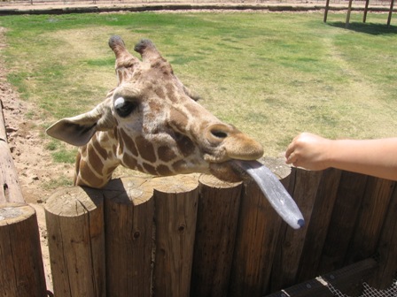 Funny Photo