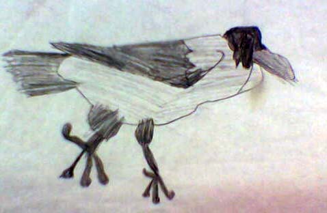 The  Black Raven