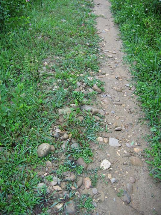 The road 1