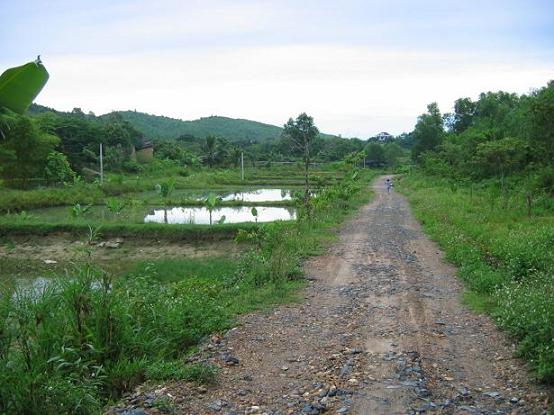The road 4