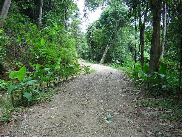 Inside the nature