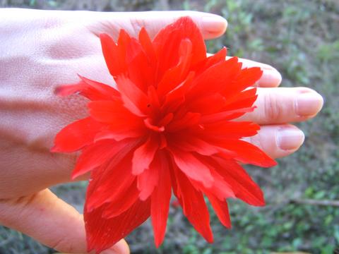 Flower Ring