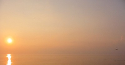 Lake Erie - Sunset and Bird 1 - Ontario, Canada July 2002