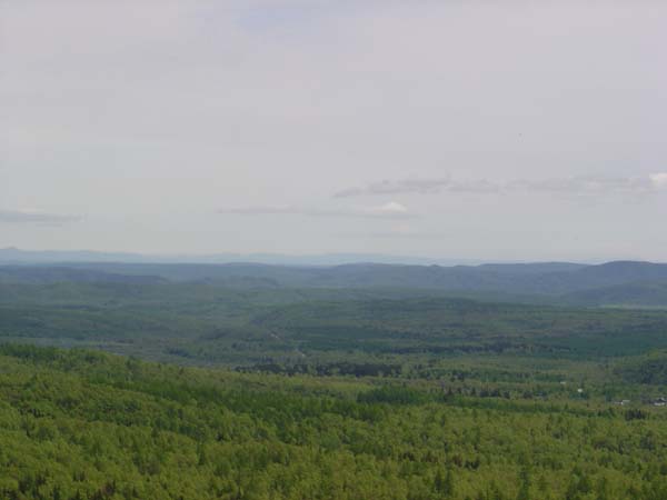 Sakhalin Summer Landscape
