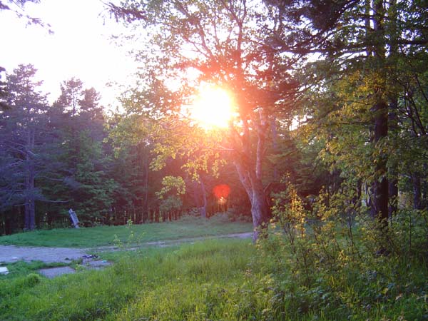 Summer Solstice