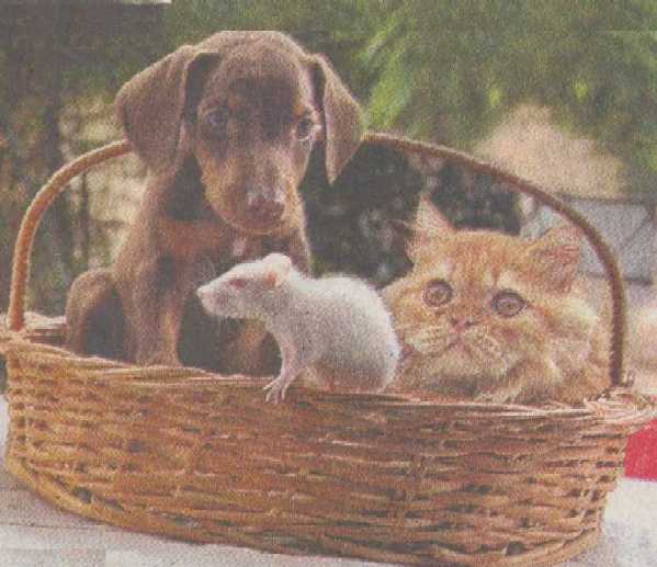 We can Live together