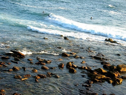 Early Morning Surfers - Sydney, Australia, February 2003