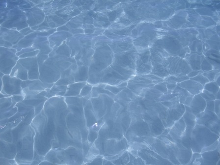 Clear waters of the Red Sea