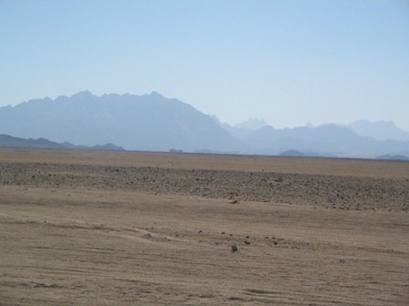 The Red Sea coastal plains