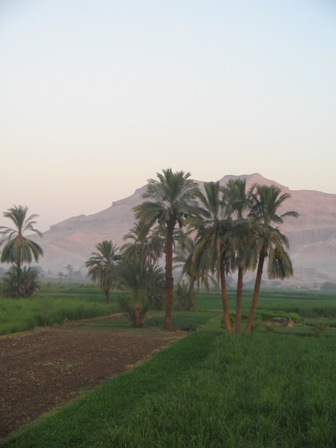 Farmlands in Upper Egypt