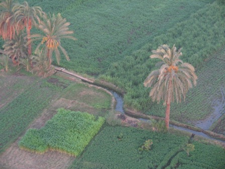 A small water canal near Luxor