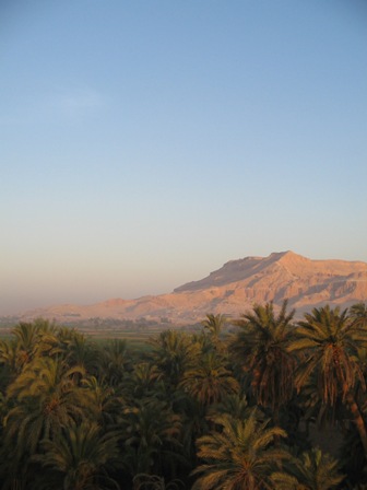 The Western Plateau overlooking palmtree forests