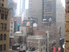 new York