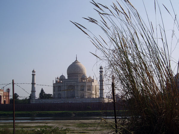 Taj