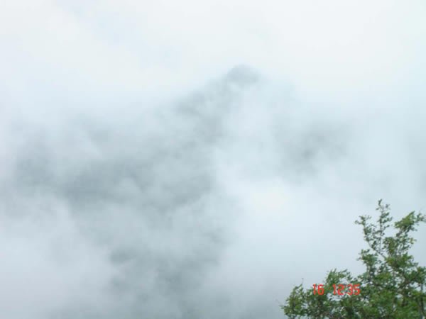 Divine Nature