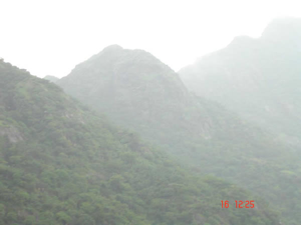 Divine Nature