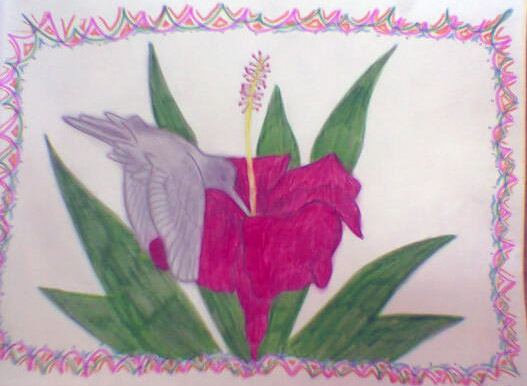 The Colibri