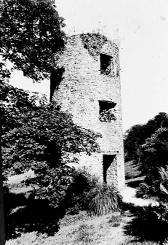 Blarney Castle Tower