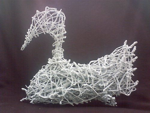 The White Duck