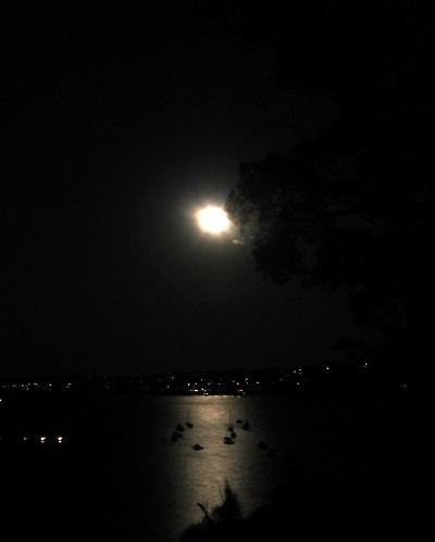 Pittwater Bay - Nightly - Sydney, Australia, January 2002