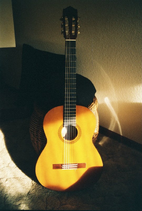Guitarra de pasion