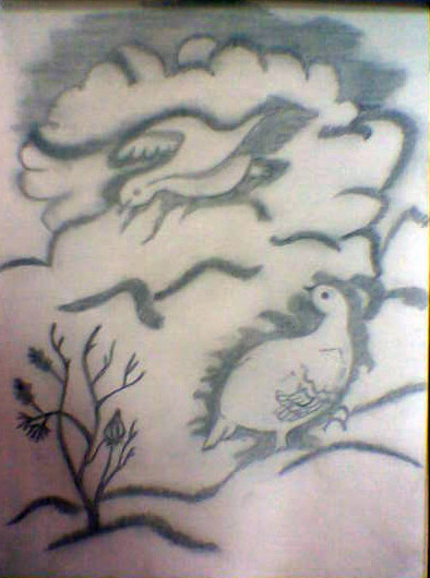 the birds
