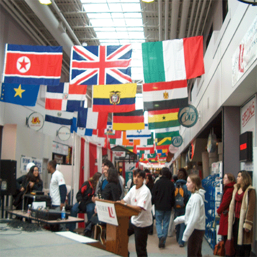 Cultural Diversity