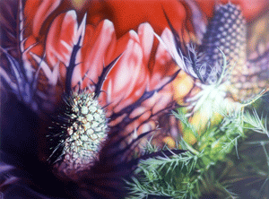 thistle