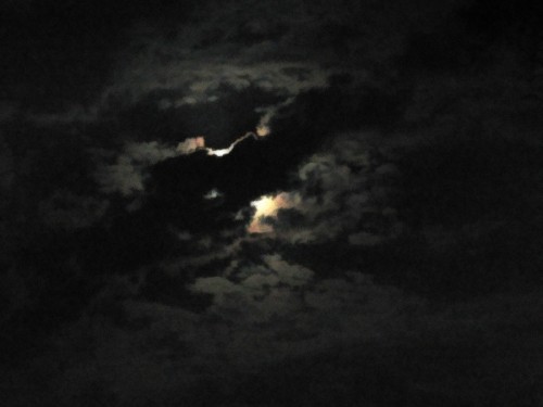 Moon Among Night 2 - Sydney, Australia, January 2002
