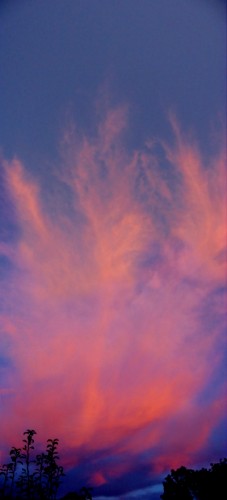 Orange Wisps At Sunset 1 - Melbourne, Australia, February 2003
