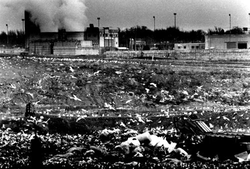 Overconsumption's Outputs