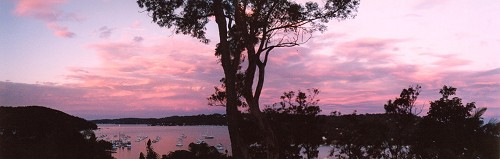 Pittwater Bay - Morning in Pink - Sydney, Australia, November 2001