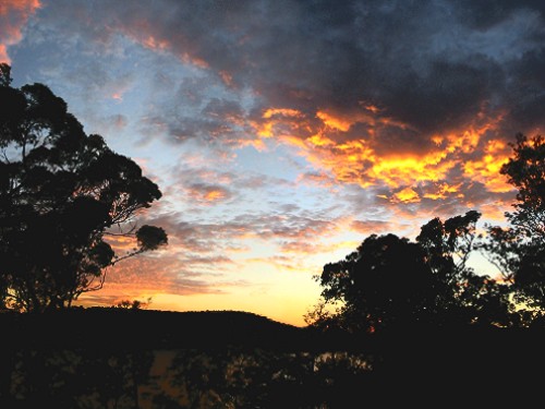 Pittwater Bay - Golden Harvest Morning 1 - Sydney, Australia, March 2003
