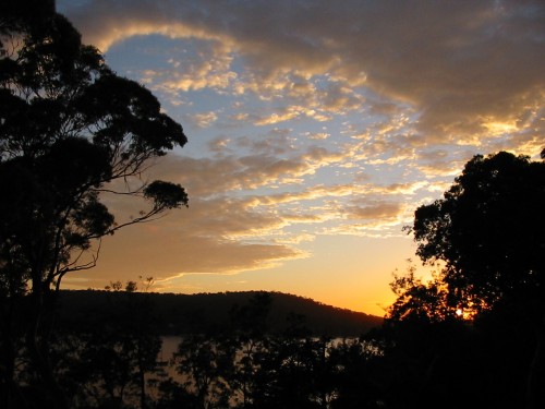 Pittwater Bay - Golden Harvest Morning 2 - Sydney, Australia, March 2003