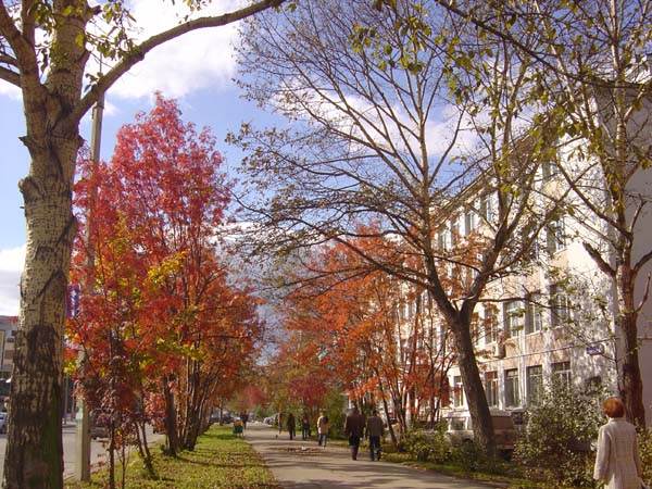 Yuzhno-Sakhalinsk in the Autumn