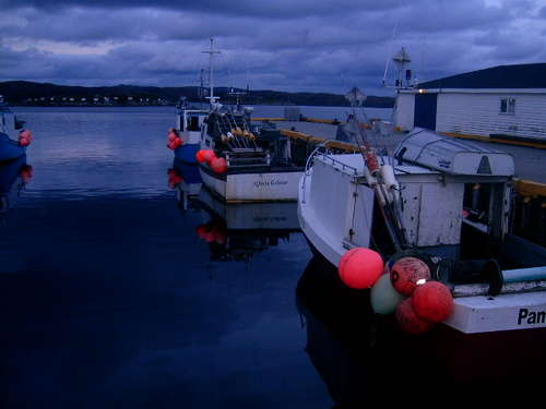 Newfoundland 2